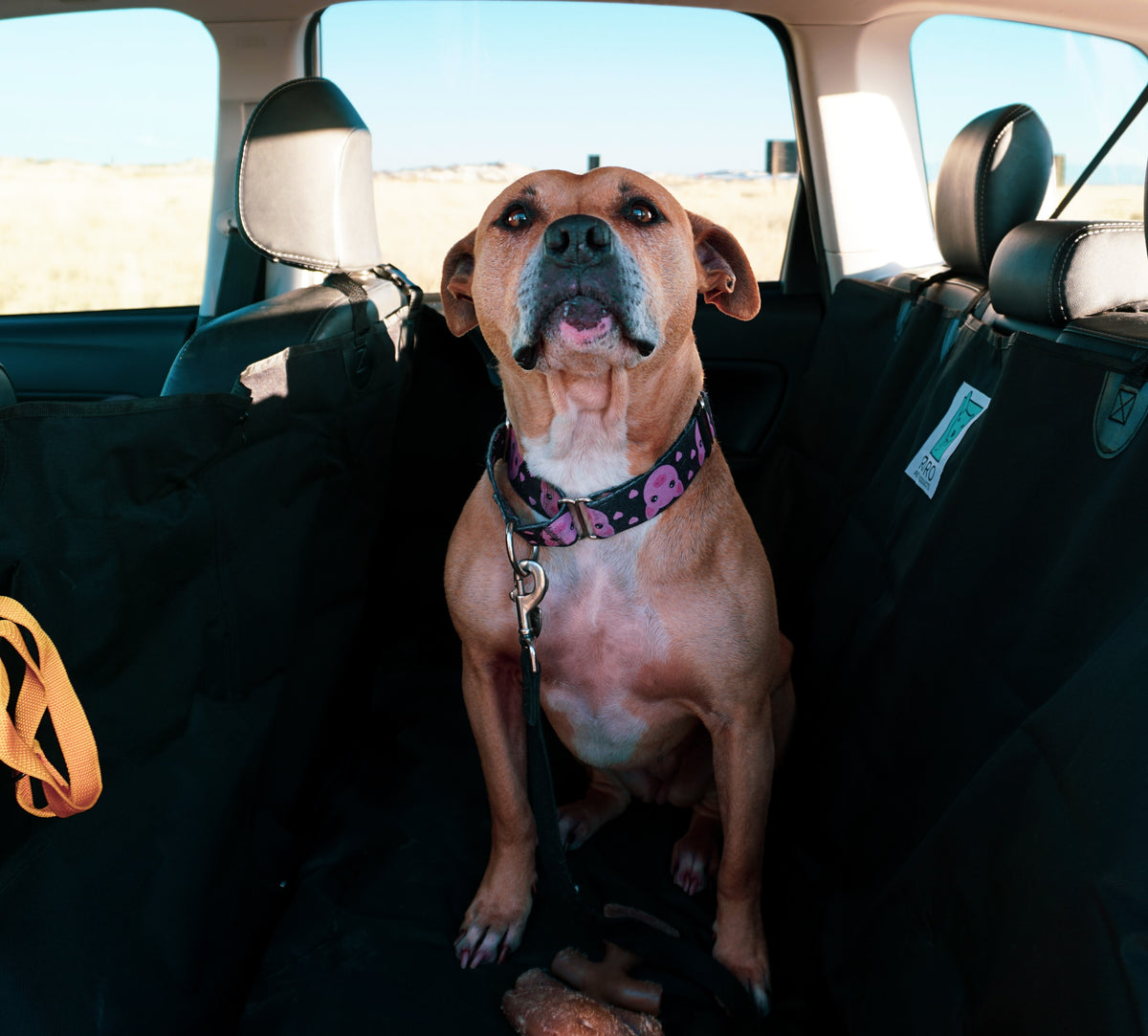 Pet Car Seat Hammock Cover - Grey – RoRo Pet Products